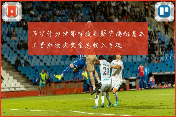 马宁作为世界杯裁判薪资揭秘基本工资加场次奖金总收入可观